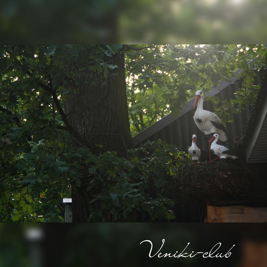 ホテル Veniki-Club Vorzelʼ エクステリア 写真